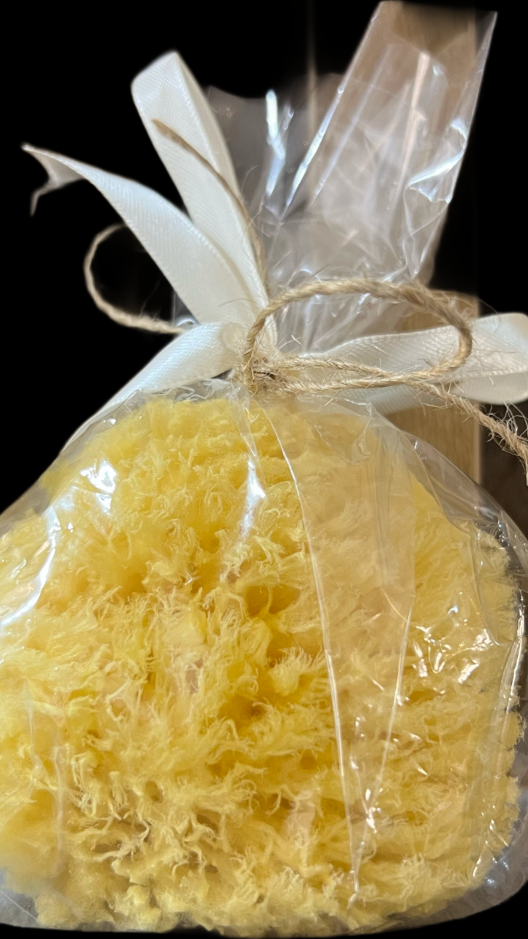 Natural Sea Sponge
