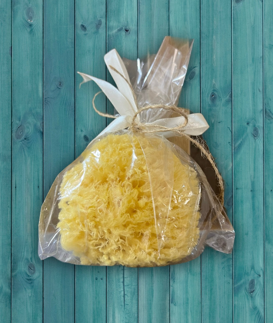 Natural Sea Sponge