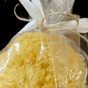 Natural Sea Sponge