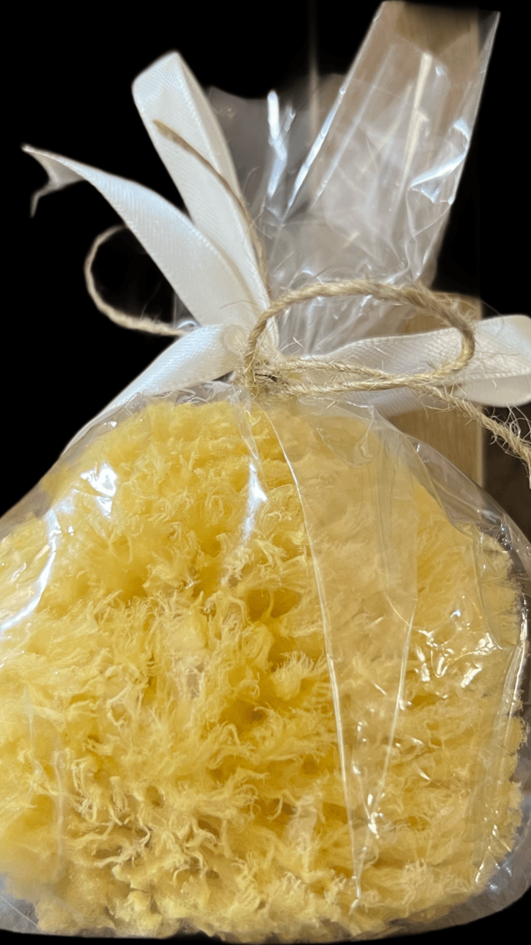 Natural Sea Sponge
