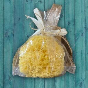 Natural Sea Sponge