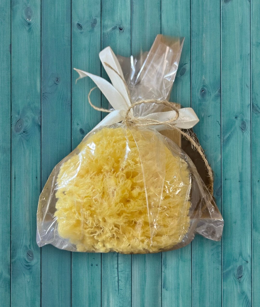 Natural Sea Sponge