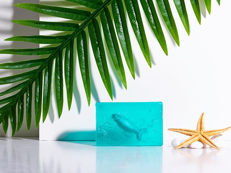 Soap with marine plant extract and organic olive oil - 100gr - Hand Made